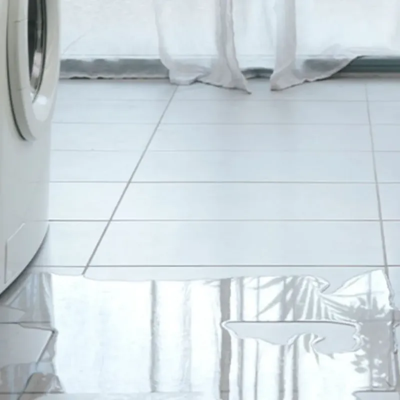 Appliance Leak Cleanup in Warren, IL