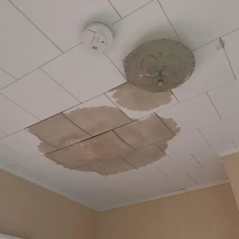 Ceiling Water Damage Repair in Warren, IL