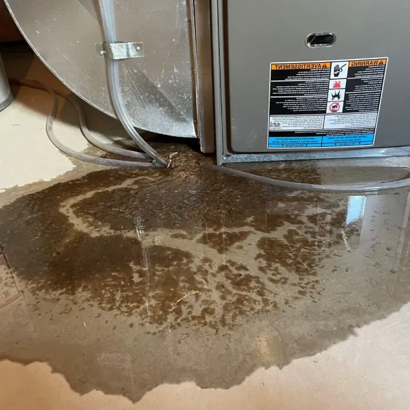 Pipe Burst and Leak Restoration in Warren, IL