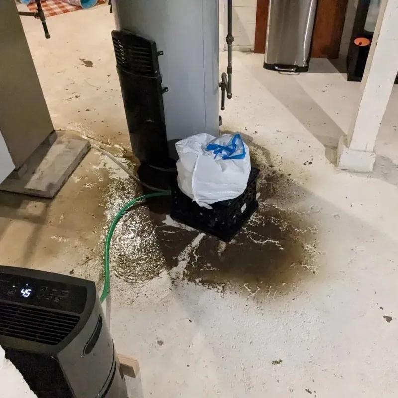 Sewage Backup Cleanup Service in Warren, IL